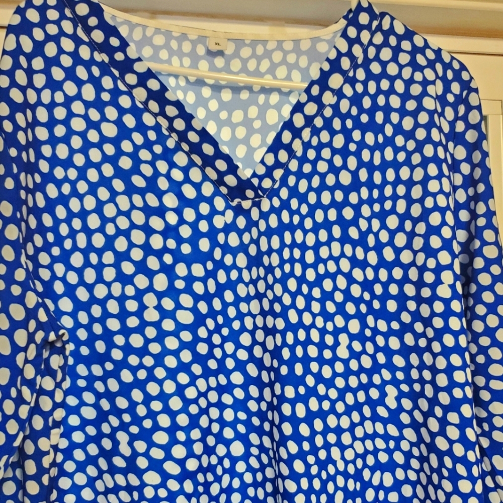 Blue/white polkadot blouse